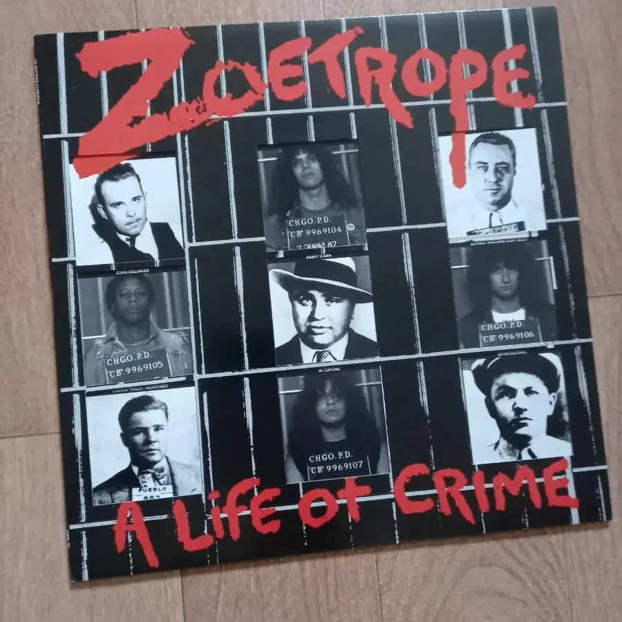 zoetrope lp 수입 엘피