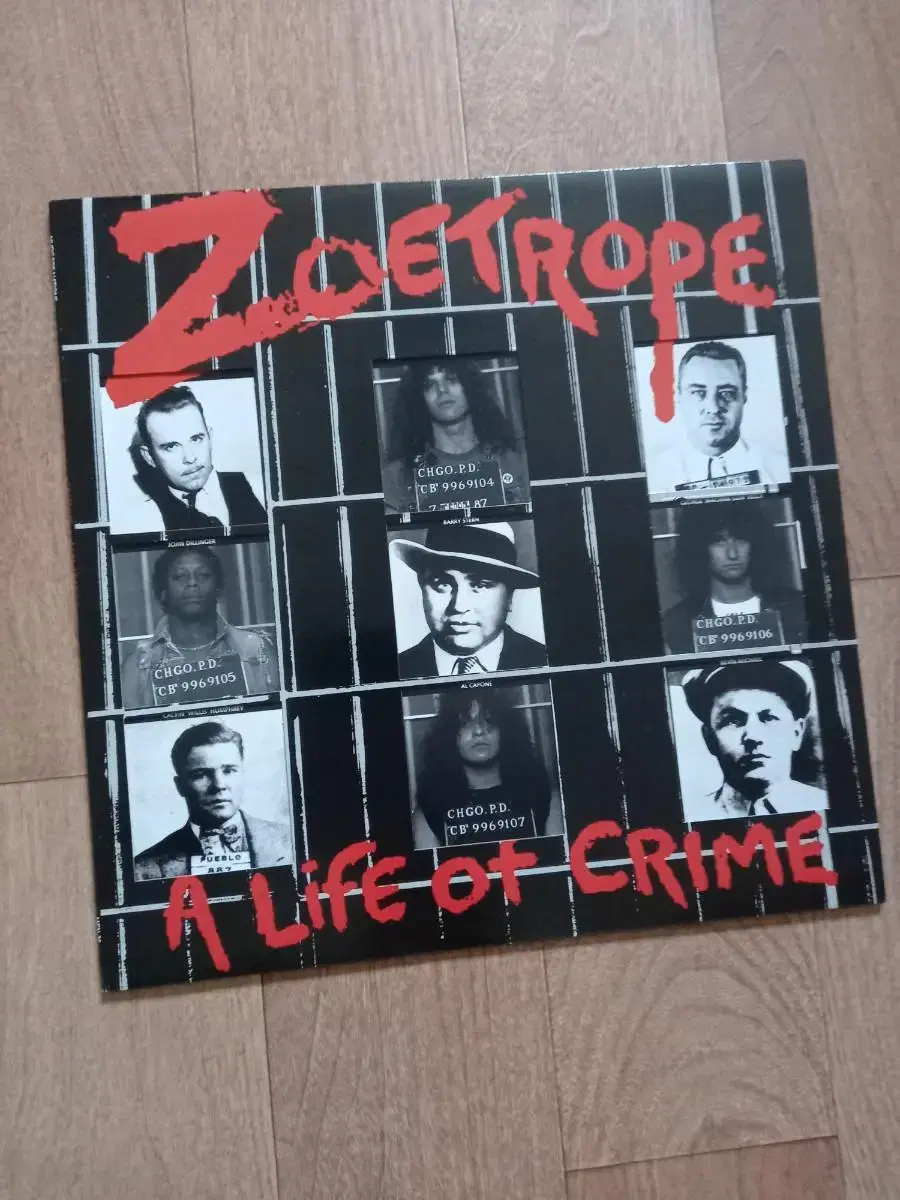 zoetrope lp 수입 엘피