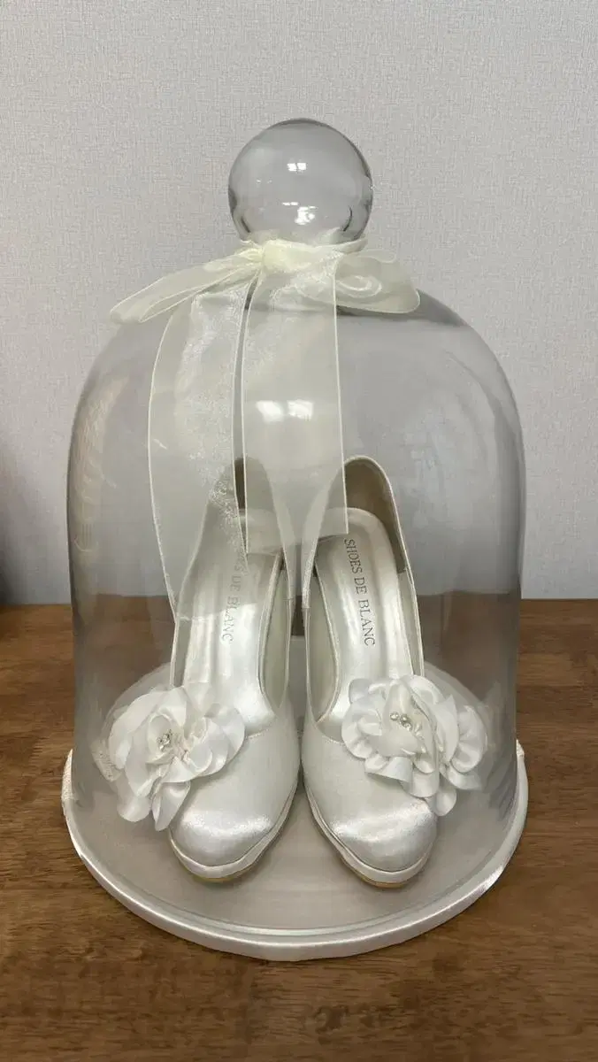 Wedding shoes Bulk of yuri dome