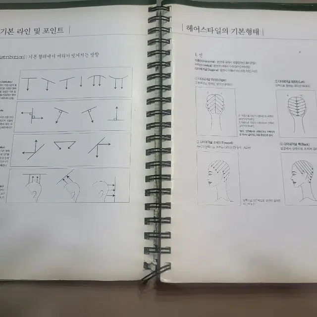 노진태 컷트북