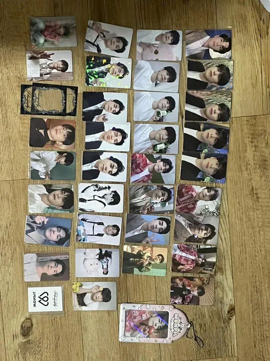 day 6 evnne of day tc/wonpil/done/younghyun photocard