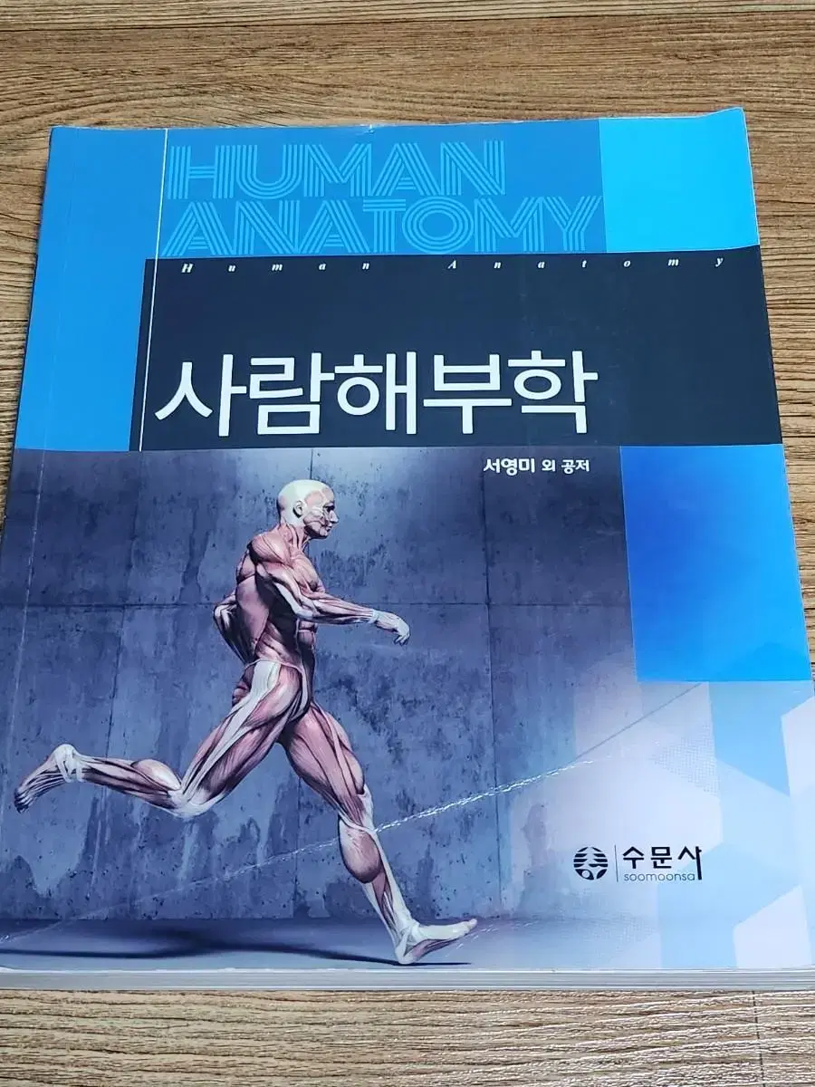 사람해부학 수문사