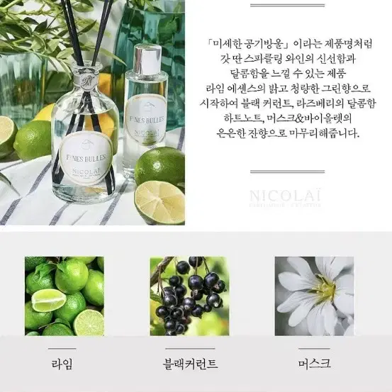 박스채새상품 니콜라이 디퓨져 핀뷸 250ml