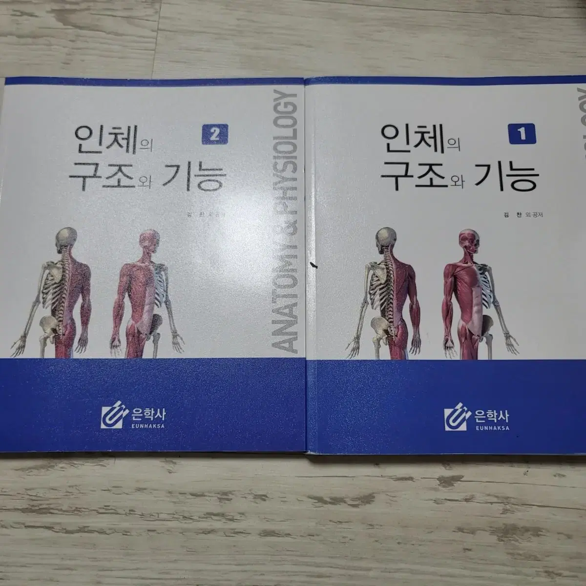 은학사 인체구조와 기능 세트로 판매합니다!