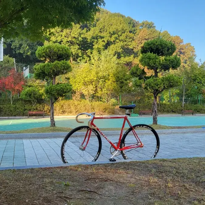 인터프로 경륜(일요일까지만65급처)