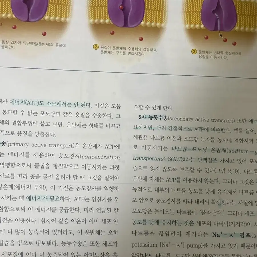 인체구조와 기능 1 수문사