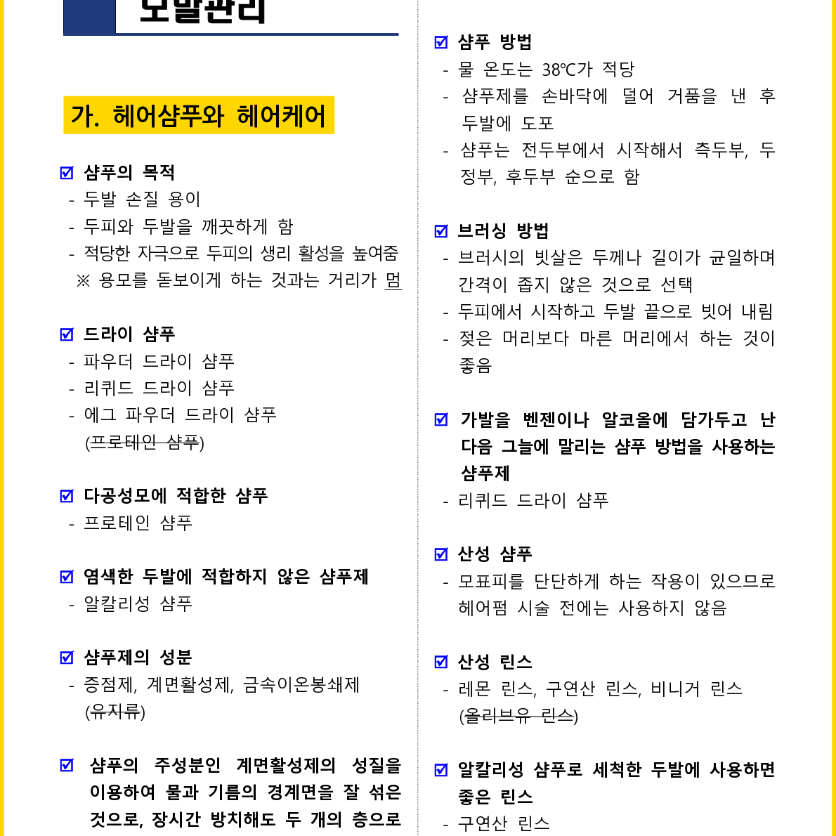 [3일 합격] 2025년  일반(헤어) 미용사 필기 핵심요약서(PDF)