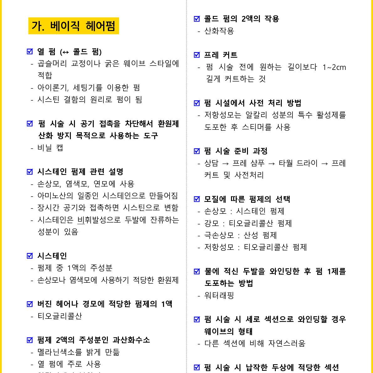 [3일 합격] 2025년  일반(헤어) 미용사 필기 핵심요약서(PDF)