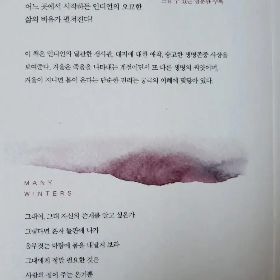 아마존 스테디셀러 시집