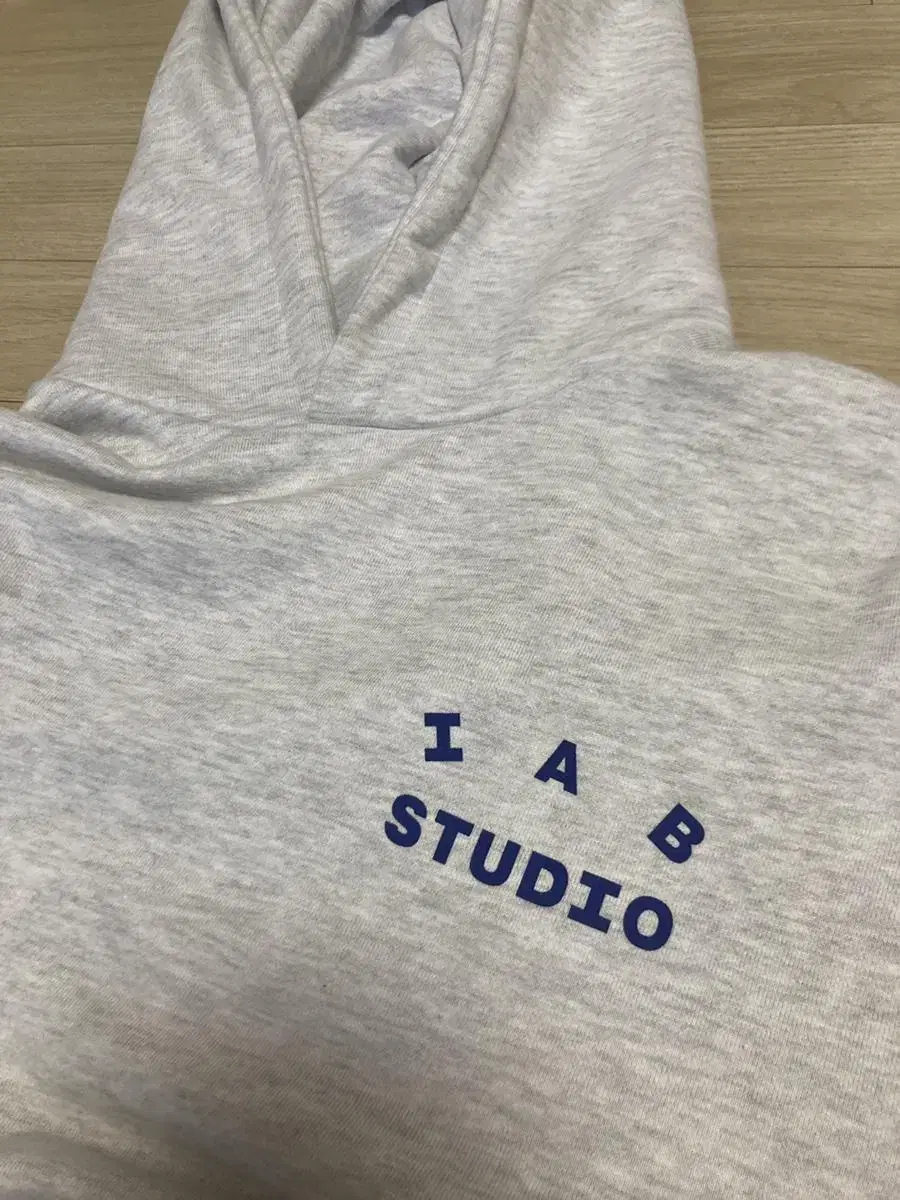 iApp Studio Hoodie Light Gray M