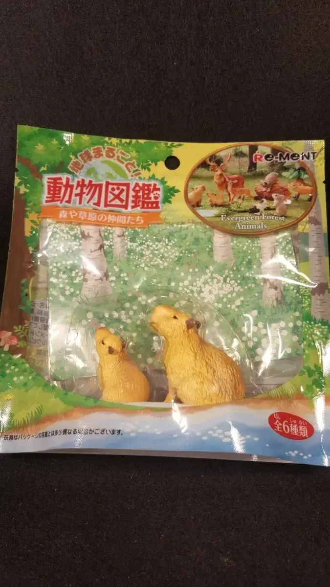 Remembrance Animal Book Capybara Figures