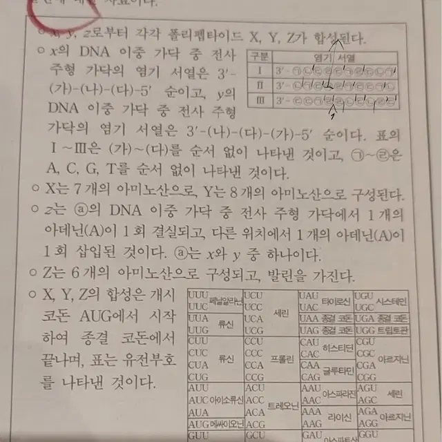 생명과학2 과외(빌보드 오른 고대의대생 가르치고 있습니다)