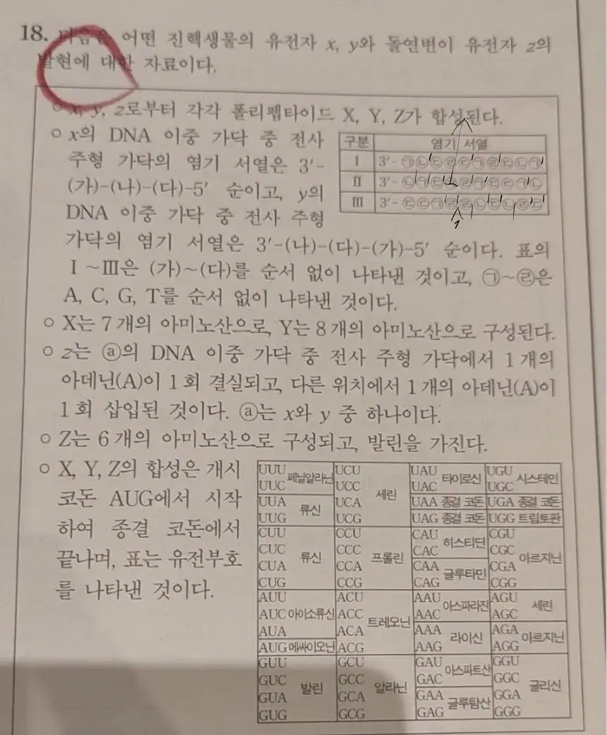 생명과학2 과외(고대의대생 가르쳤습니다)