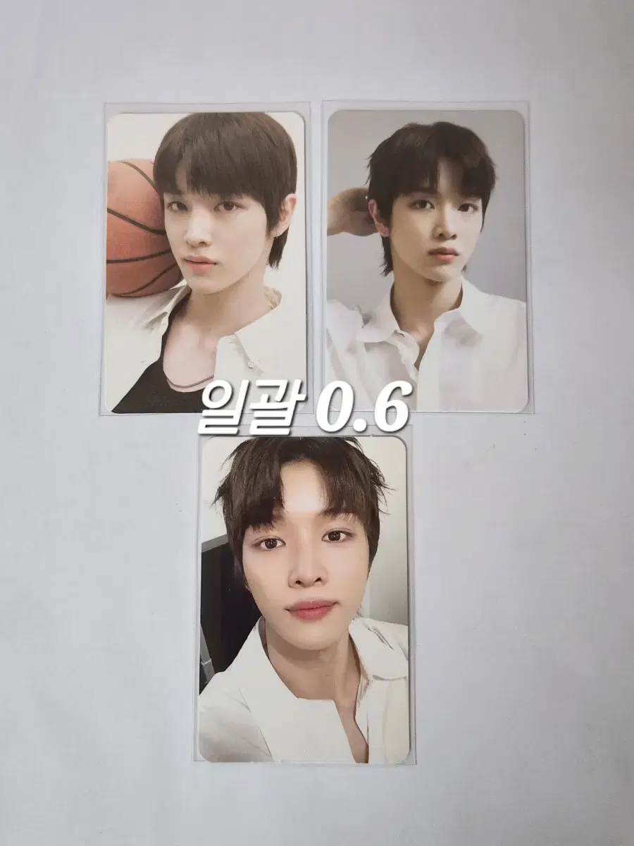 Rize sungchan seasons greetings tc bulk WTS