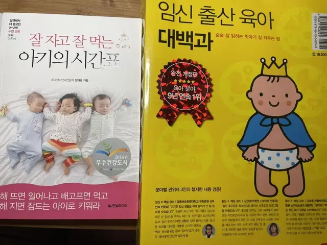 잘 지고 잘먹는 아기의 시간표, 임신 출산 육아 대백과