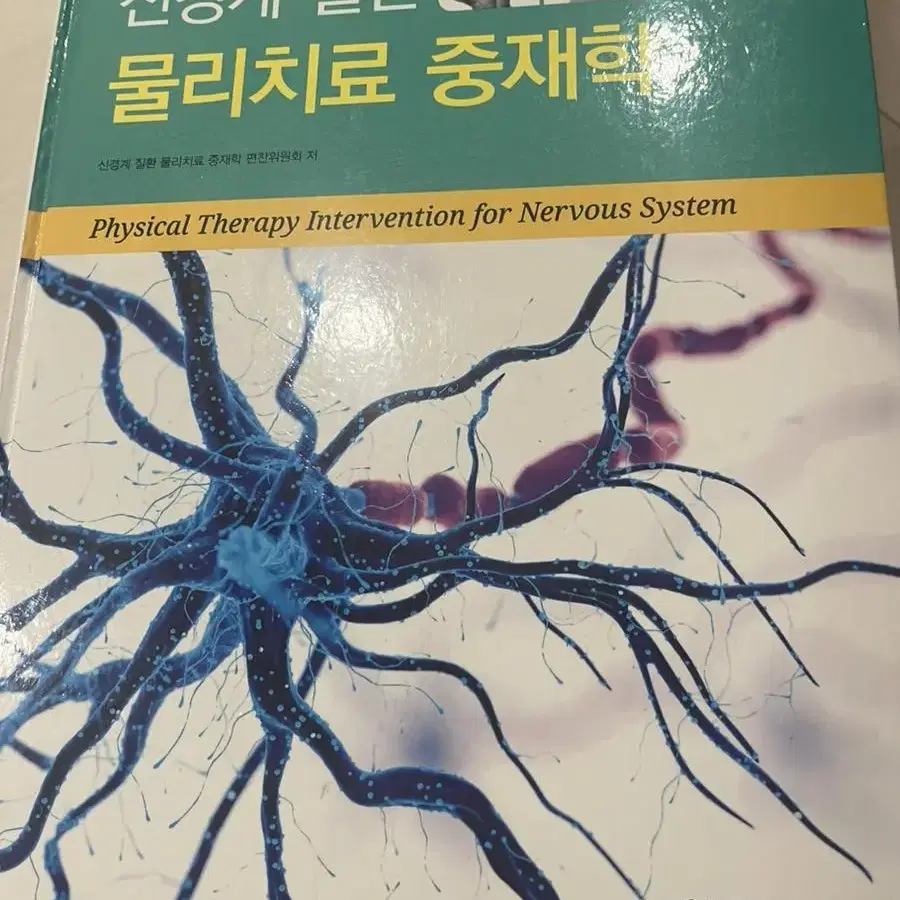 신경계질환 물리치료중재학