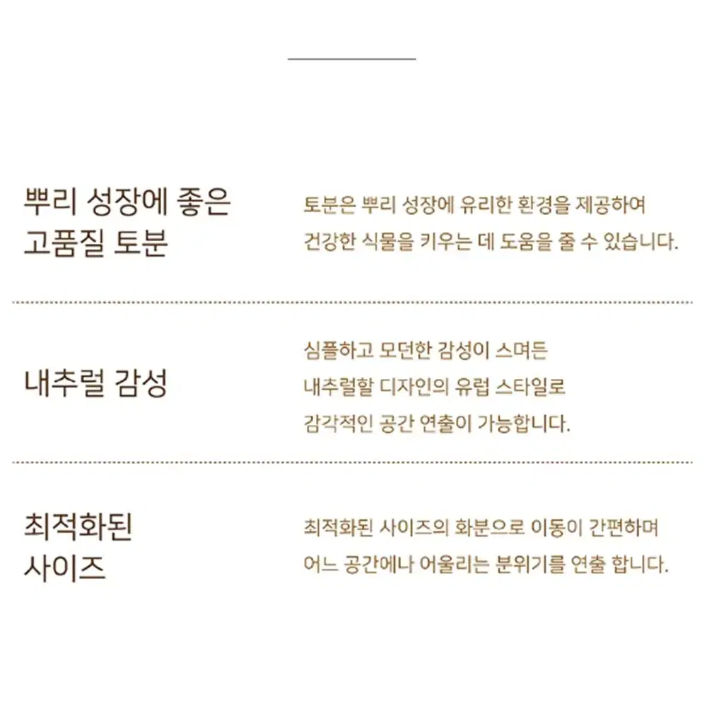 (3개 세트) 낮은 원통 빈티지 수제 토분 화분 / 돌 중형 넓은 화분