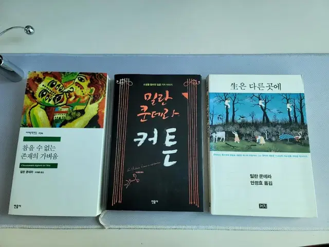 밀란쿤데라 참을수없는존재의 가벼움 외 2