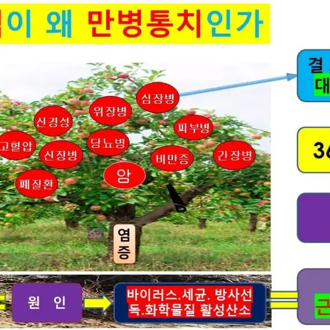 오로라원적외선매트