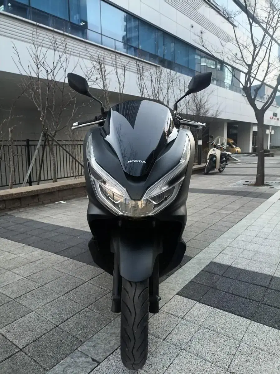 DB-030/ 혼다 / PCX /19년식/ 8.2만km /자체 할부 판매