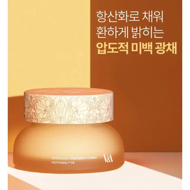 [미개봉]브이앤에이 안티옥시던트 하이드레이션 크림 50ml