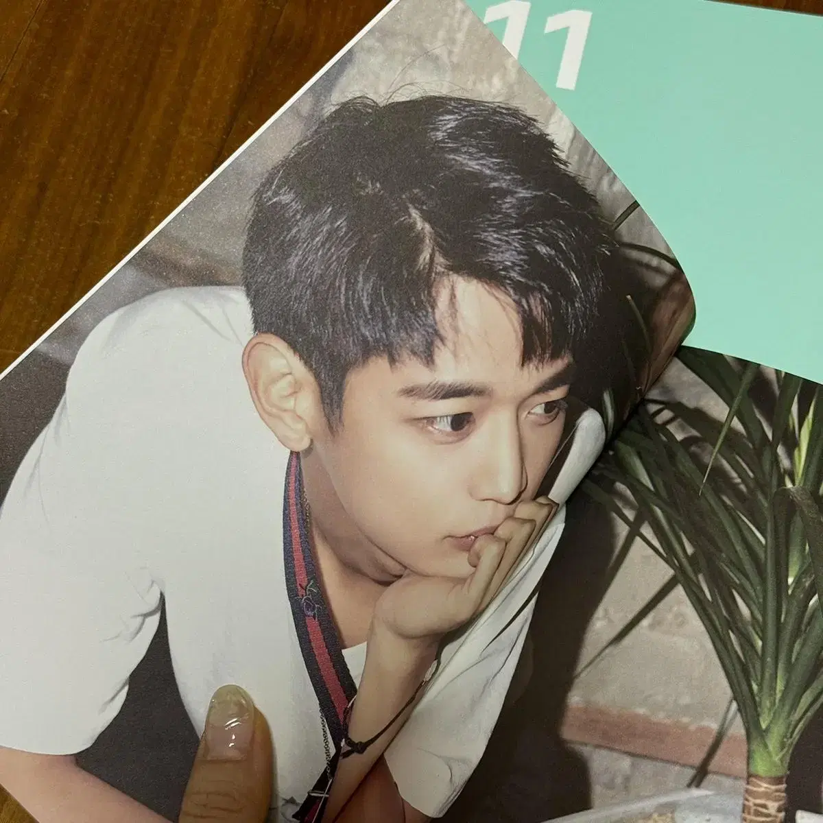 SHINee 2018 season's greetings buncheol Minho