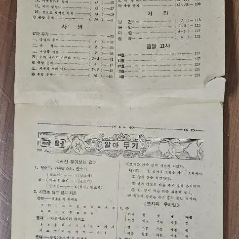 1970년대 국민학교 5-2학기 새수련장