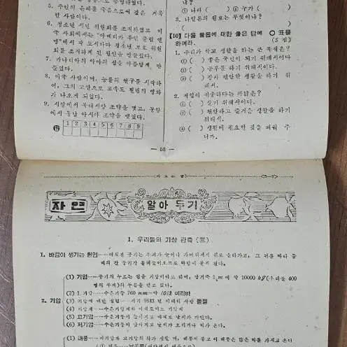 1970년대 국민학교 5-2학기 새수련장