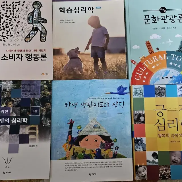 소비자행동,학습심리,문화관광,인간관계의심리,학생생활지도와상담,긍정심리