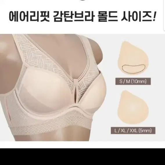 크로커다일 몰드부착형 에어리핏 무드 감탄 브라 사이즈 S 노와이어