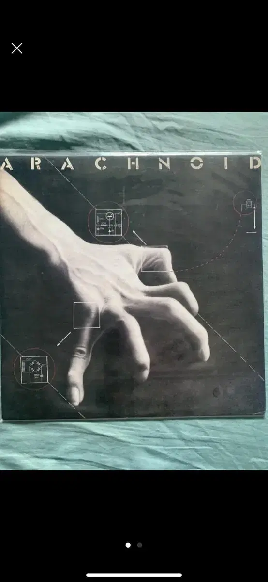 Arachnoid.  Lp