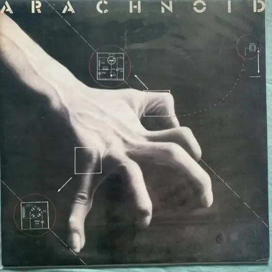 Arachnoid.  Lp