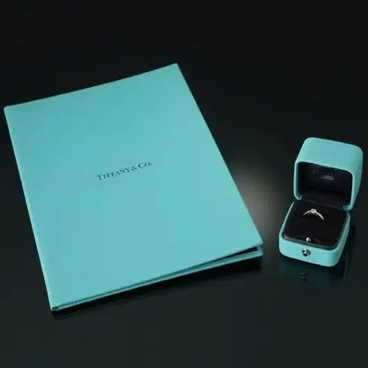 TIFFANY&CO 티파니앤코 0.31CT 다이아몬드 링 #8