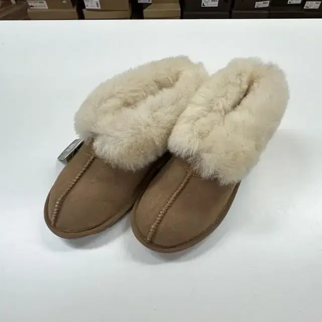 호주UGG 양털 미니부츠 230-235mm팜 새것