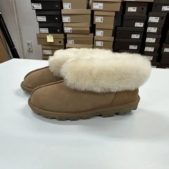 호주UGG 양털 미니부츠 230-235mm팜 새것