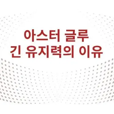 아스터 글루 속눈썹 연장 글루 롱타임 스피드 글루 10g 속눈썹 유지력좋