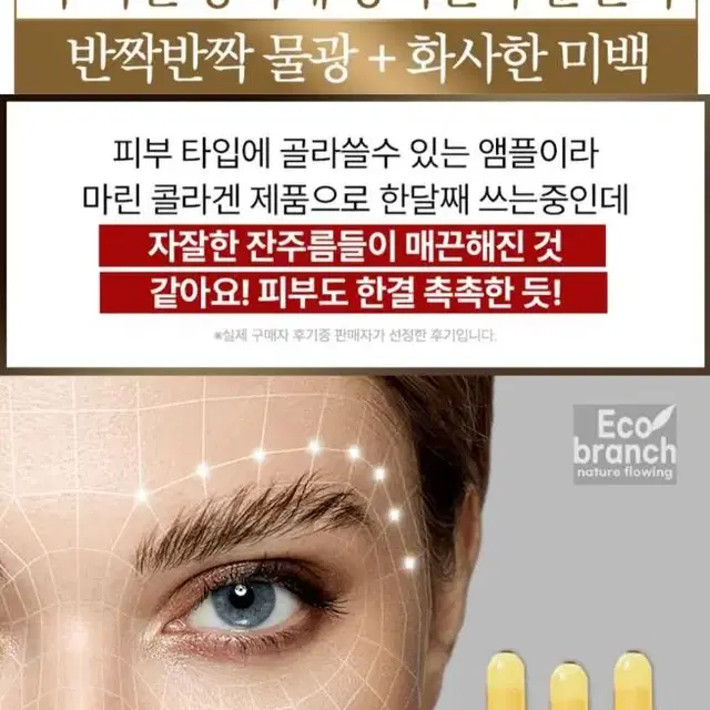 에코브런치프리미엄앰플2MLX30개23900원무료배송미백주름개선피부탄력