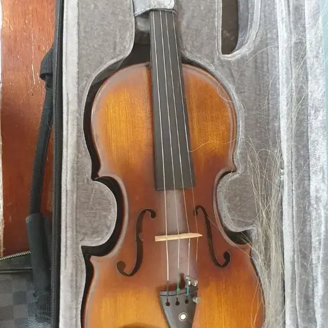 M. Hm Maestro string violin 4.4사이즈