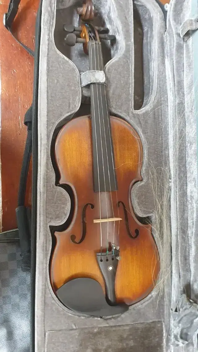 M. Hm Maestro string violin 4.4사이즈