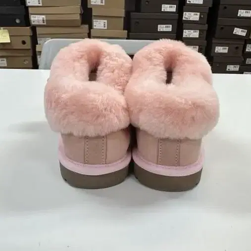 호주UGG 양털 미니부츠 240-245mm팜 새것