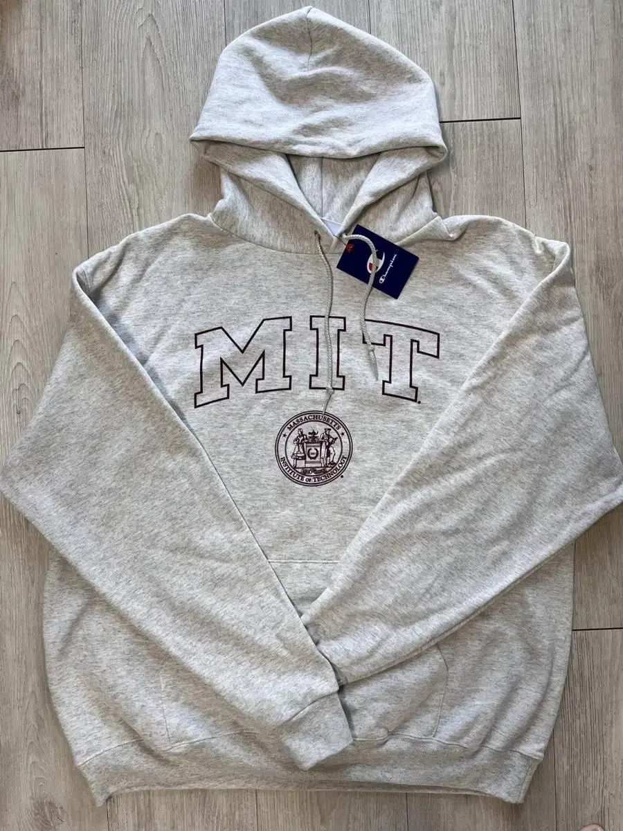 MIT Tech hoodie for sale (Champion)