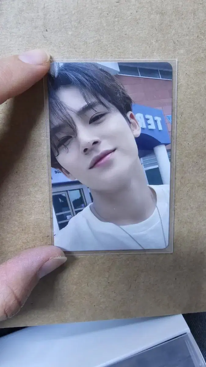 sector17 weverse japan seventeen mingyu photocard sells