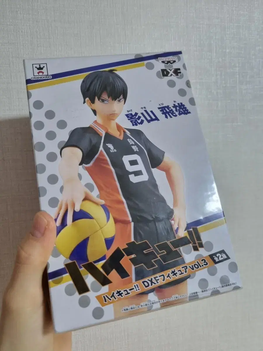 (unsealed) haikyuu Kageyama DXF vol.3