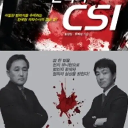 한국의 CSI