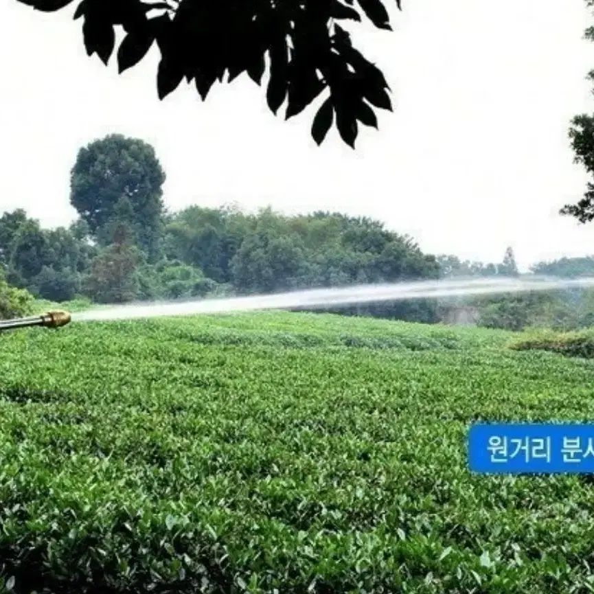 매직호스 세트 예역폭주