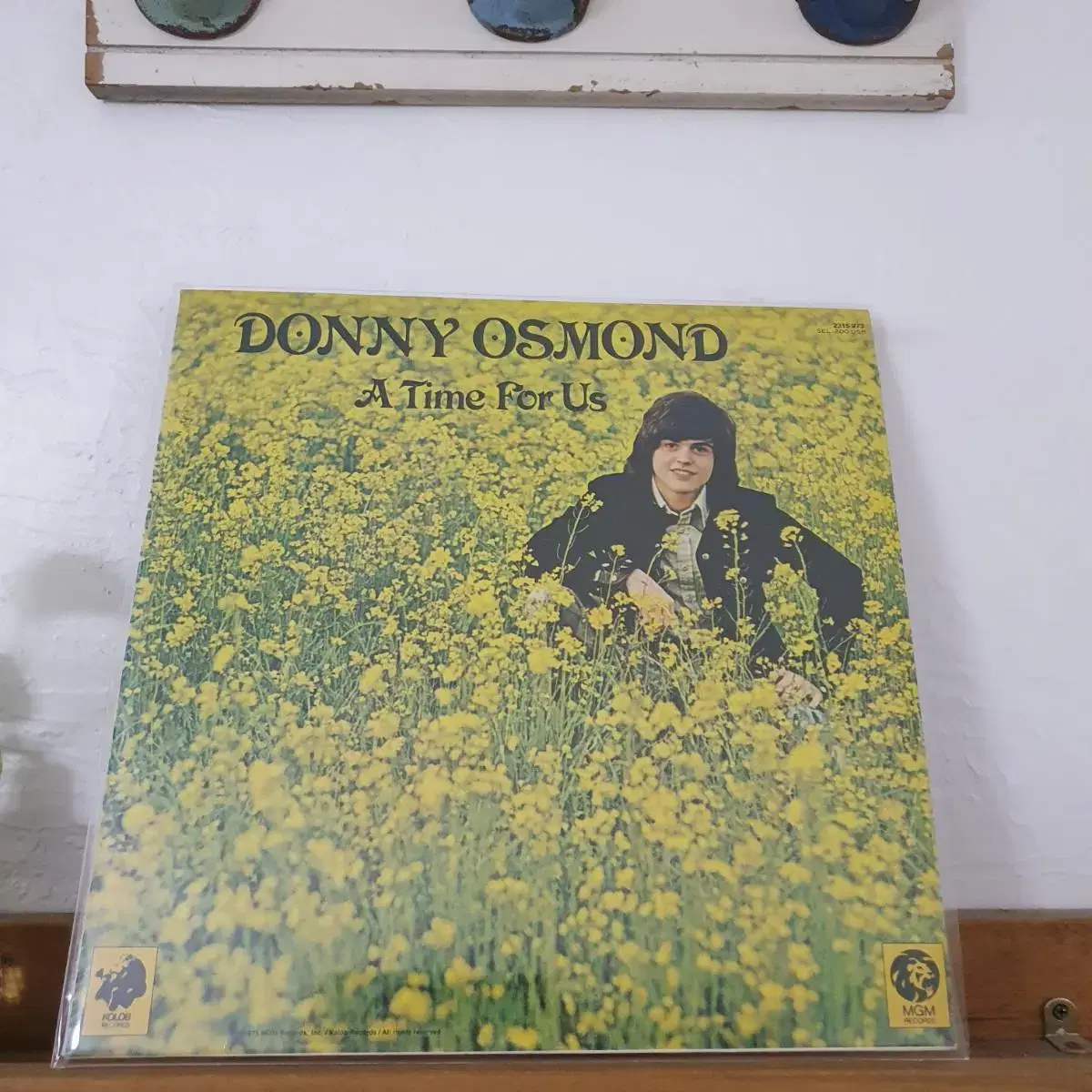 도니 오스몬드 DONNY OSMIND  LP