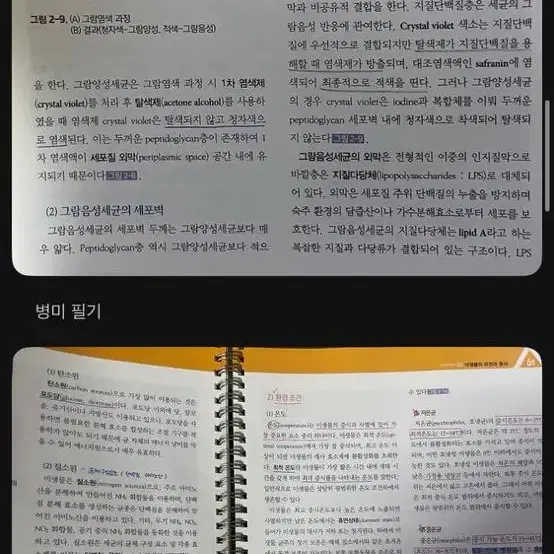 간호학과 책(기본간호,병리학,아동,인구기,건강사정,의학용어,병원미생물학)