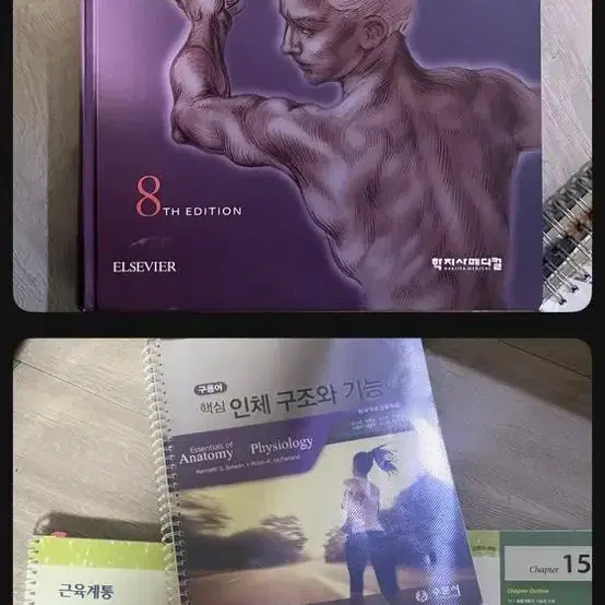 간호학과 책(기본간호,병리학,아동,인구기,건강사정,의학용어,병원미생물학)