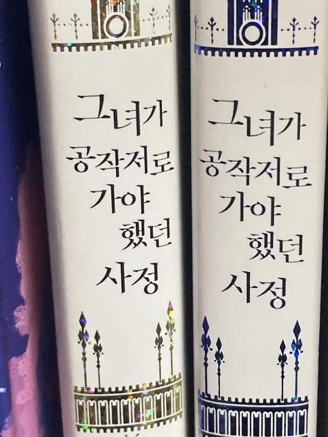 그녀가 공작저로 가야했던 사정 그공사 소설책 1~2권 판매 양도