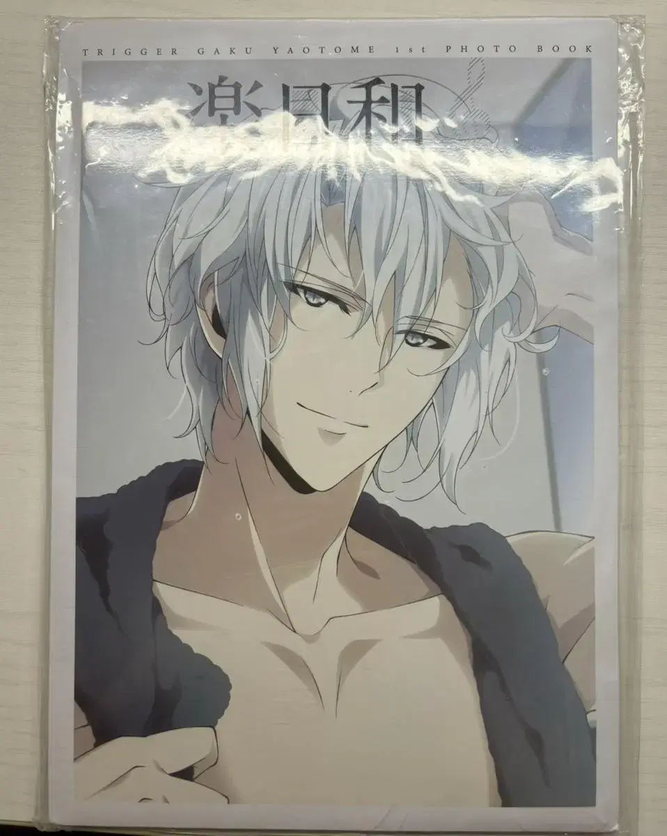 (Price Reduced)Nayeon Yaotome Gaku Biyori, Dongnui 2nd Edition to sell.